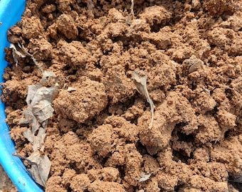3LB Ultisol red clay dirt garden grade. Great soil amendment for plants, raised beds, sandy soil. Tank habitat decoration. clean source.