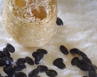 Luffa Seeds, Loofah Sponge Gourd Seeds, Luffa Vine Seeds, Natural Sponge, Trellis Garden Seeds