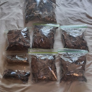 May include: A collection of seven clear plastic resealable bags filled with dried brown leaves and botanical materials. One bag is larger than the others, while two smaller bags contain distinct, darker, and more finely textured organic matter.