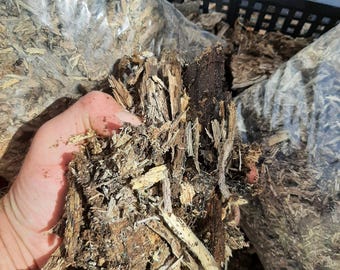 1 gallon pre baked wood pulp from rotten log 1qt of hardwood bark also pre baked. Clean source