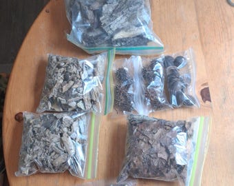 Bioactive Terrarium Substrate: Decaying Hardwood Bark, Leaf Litter, Nut Husks (Inventory T1)