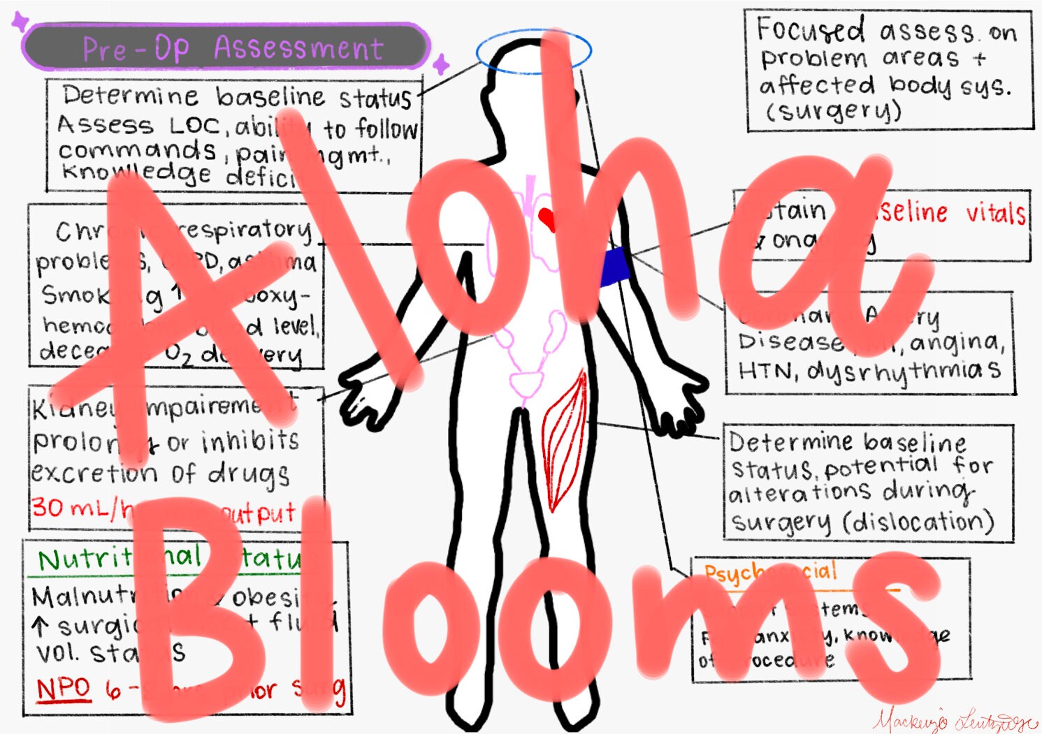 Pre and Postop Assessment Notes nursing Medsurg Etsy