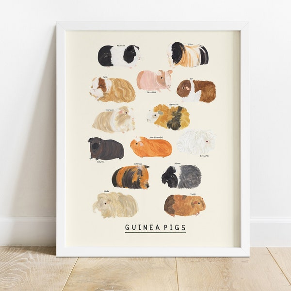 Guinea Pig Type Print | Cavies Pigs Identification Breeds Peru American Gift Educational