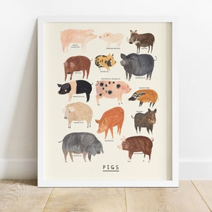 Pig Type Print | Pigs Identification Farm Breed Piggy Oink Minipig Pot Bellied Gift Educational