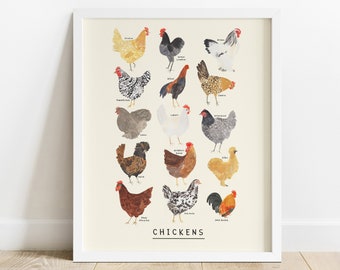 Chickens Type Print | Chicken Identification Breeds Hen Cockerel Chicks Animals Gift Educational