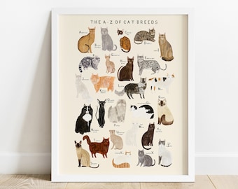 Cat Breeds Alphabet Print | A-Z Identification Poster Illustration Cats Breeds Pet Kitten Gift