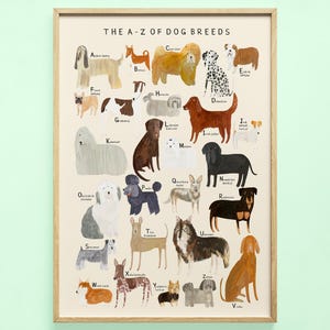 Dog Breeds Alphabet Print | A-Z Identification Poster Dogs Breed Pet Woof Puppy Gift Educational | Wall Art Home Decor Poster