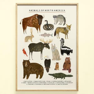 North American Animals Continent Print | USA America Canada Alaska Bear | Kids Room Décor Educational Wall Art Poster Nursery