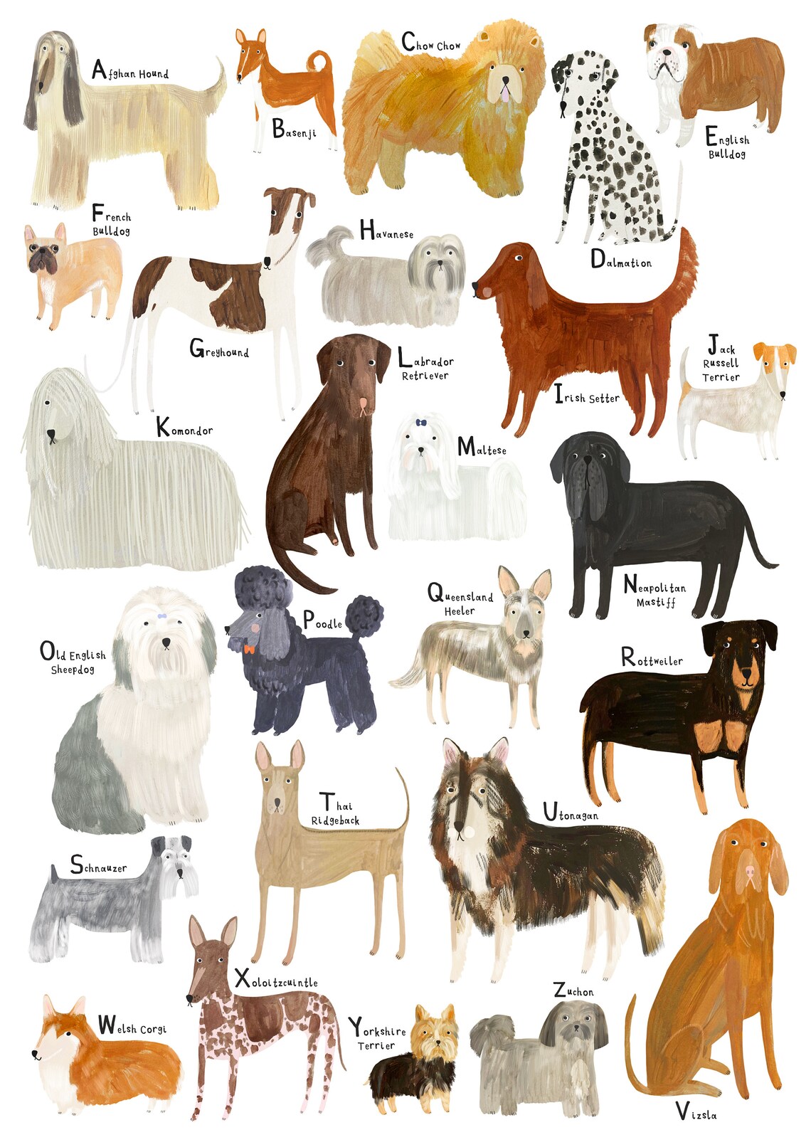 Dog Breeds Alphabet Print A-Z Identification Poster Chart - Etsy UK
