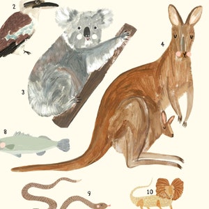 Australian Animals Continent Print Oz Ozzie Australia Aussie Kangaroo Koala Prints Kids Nursery image 4