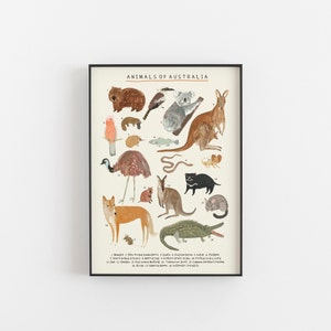 Australian Animals Continent Print Oz Ozzie Australia Aussie Kangaroo Koala Prints Kids Nursery image 2