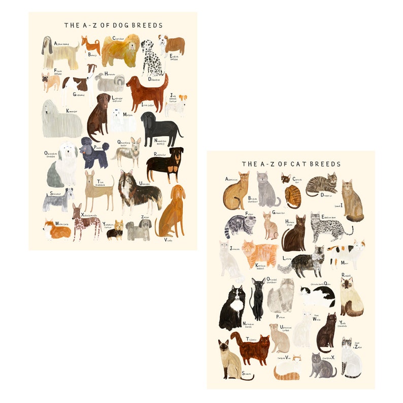 Cat Breeds Alphabet Print A-Z Identification Poster Illustration Cats Breeds Pet Kitten Gift image 3