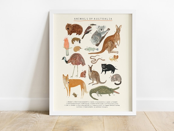 洋書　WILDLIFE OF Australia Awesome Animals of Australia: The Continent and Its