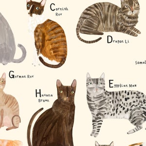 Cat Breeds Alphabet Print A-Z Identification Poster Illustration Cats Breeds Pet Kitten Gift image 4