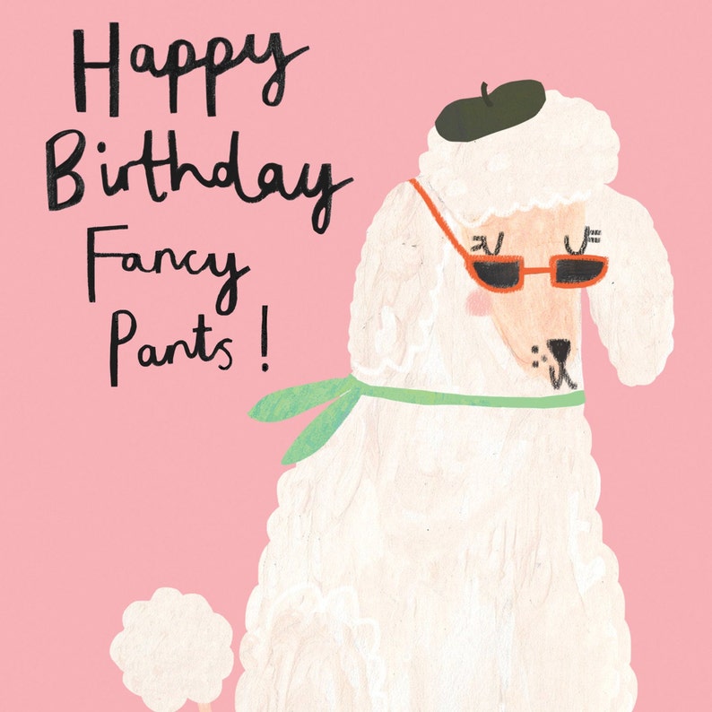 Fancy Pants Poodle Birthday Card French Fancy Dog Poodles Humour Funny Cards Birthday Greeting image 3