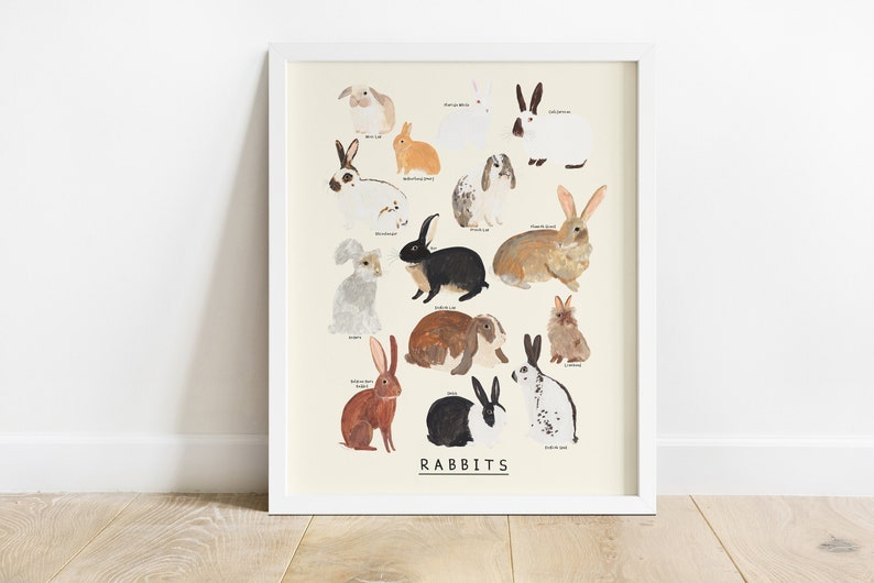 Rabbits Type Print Bunny Rabbit Identification Bunnies Breeds Lop Netherland Dwarf Rex image 1