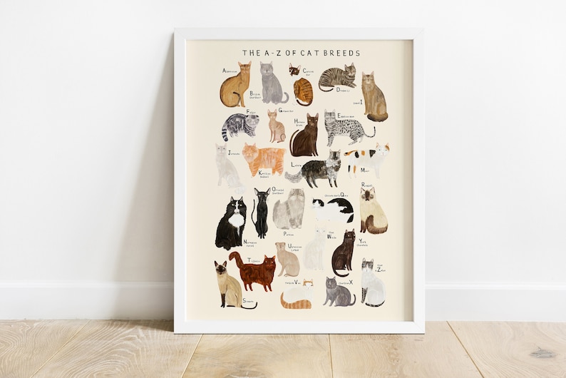 Cat Breeds Alphabet Print A-Z Identification Poster Illustration Cats Breeds Pet Kitten Gift image 1