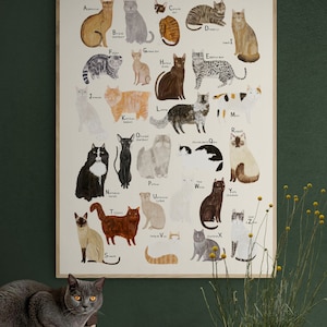 Cat Breeds Alphabet Print A-Z Identification Poster Illustration Cats Breeds Pet Kitten Gift image 2