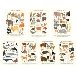 Australian Animals Continent Print Oz Ozzie Australia Aussie Kangaroo Koala Prints Kids Nursery image 3