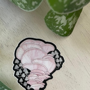 Pink Oyster Mushroom Sticker: Watercolor Vinyl Decal