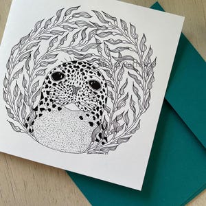 Harbor Seal Card - 5x5 Blank Card