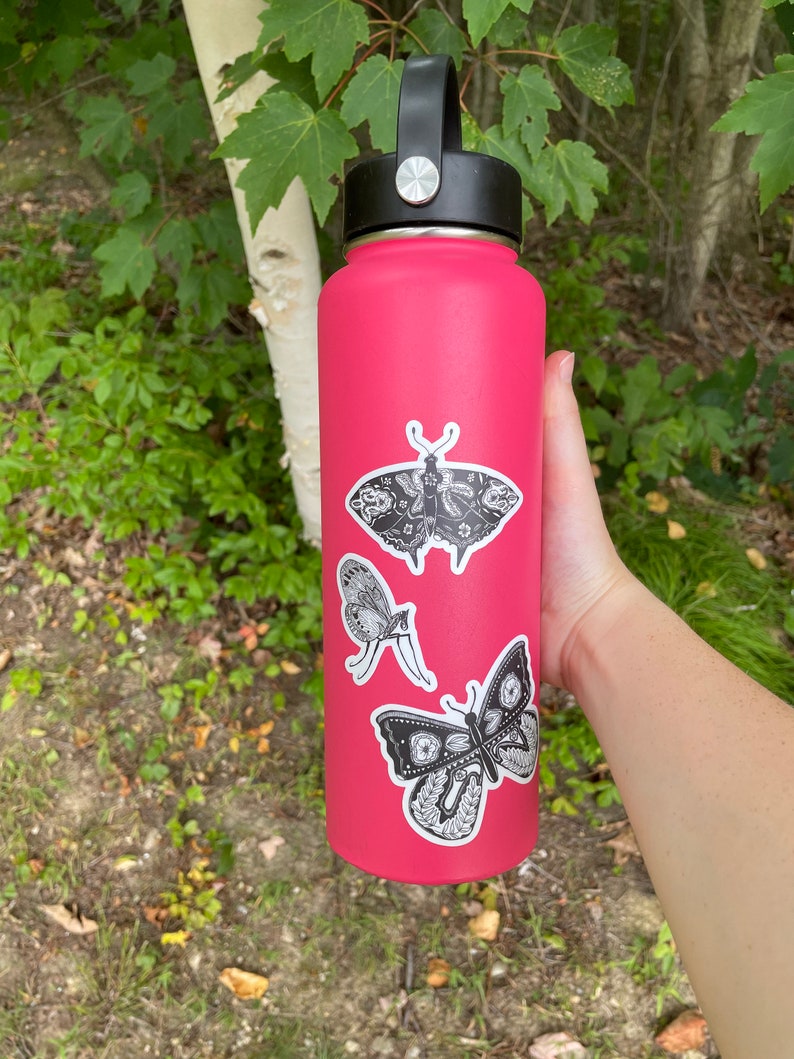 Moth Sticker, Black & White Sticker, Insect Sticker, Nature Sticker, Vinyl Sticker Etsy