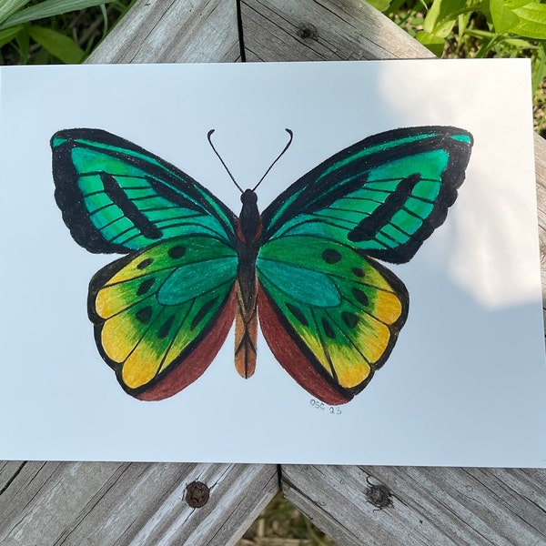 Green Butterfly Art Print - 5x7/4x6 Giclee Art Print
