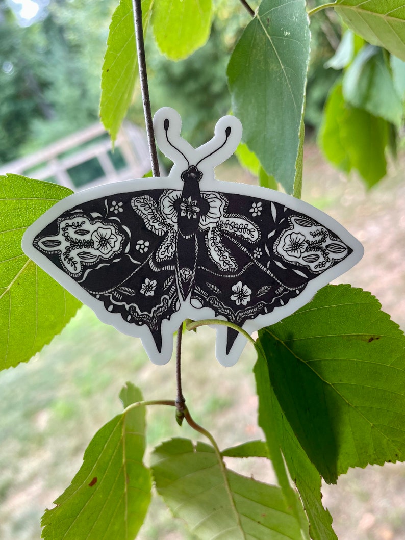Moth Sticker, Black & White Sticker, Insect Sticker, Nature Sticker, Vinyl Sticker Etsy