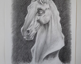 Original Pferde caste Graphit Zeichnung | 11 x 14 Zoll | Handarbeit, Pferdeskizze, Arabisches Pferd, Stillleben, Pferdemotiv, Pferdekopfzeichnung