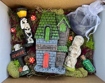 Halloween Fairy Garden Kit – Haunted Hollow