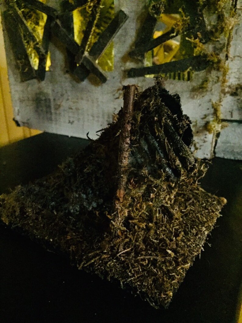 Jeepers Creepers Church LARGE the Creeper Drain Pipe Etsy