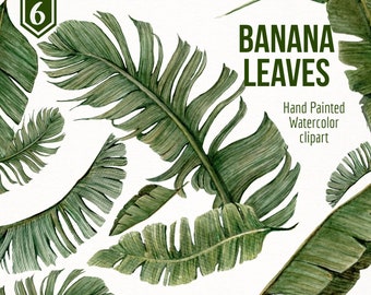Banana Leaf Clipart Etsy