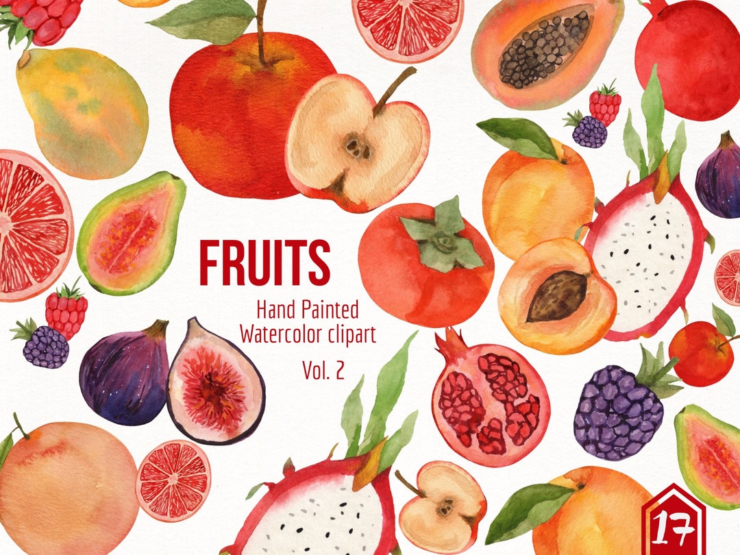 Watercolor Fruits- Fruit Clipart- Hand Painted Apple- Persimmon ...