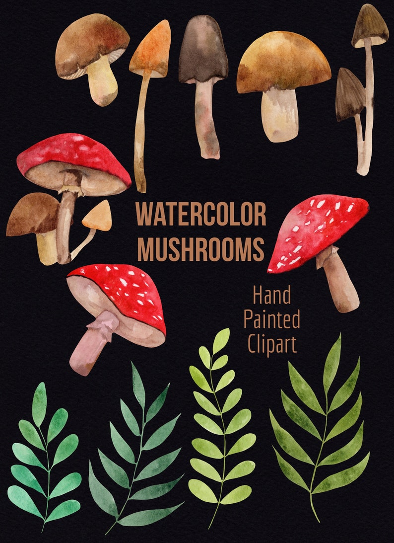 Watercolor Mushroom Clipart Mushroom PNG Mushroom Graphics Mushroom Art