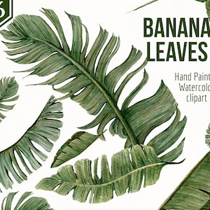 Aquarelle Feuilles de bananier Clipart- Feuilles peintes à la main- Graphiques de feuilles- Clipart de forêt- Images de feuilles de bananier- Aquarelle verdure- Feuille tropicale
