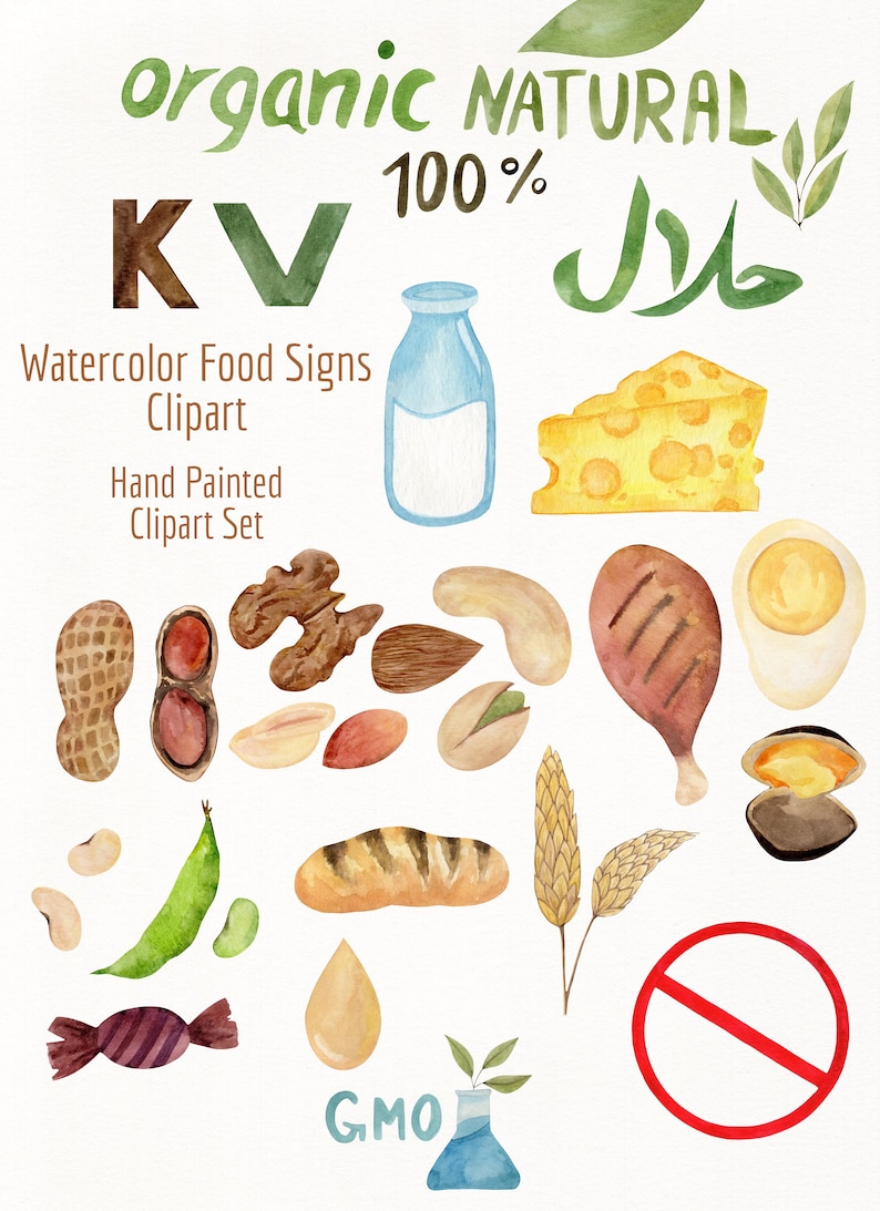 Watercolor Food Allergies Alert Signs Clipart Allergy Label Graphics