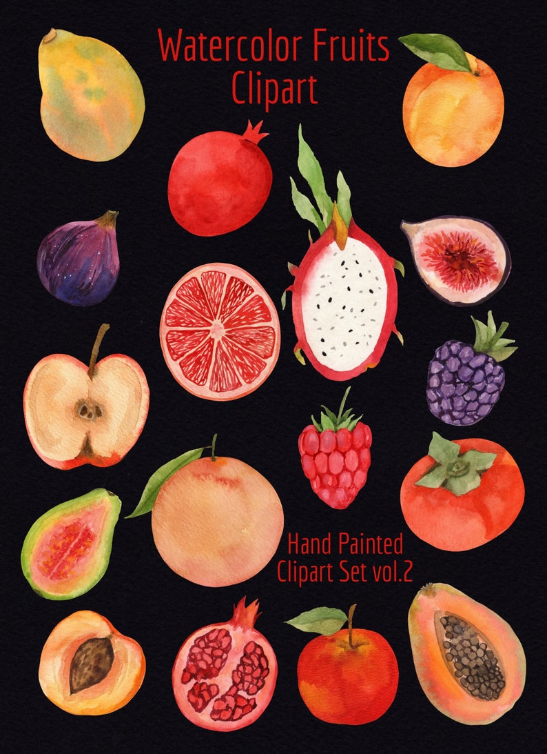 Watercolor Fruits- Fruit Clipart- Hand Painted Apple- Persimmon ...
