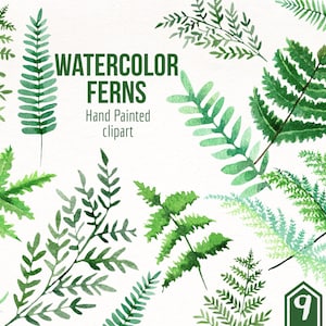 Watercolor Ferns Clipart- Hand Painted Ferns- Ferns Graphic- Greenery Design- PNG Clipart Set