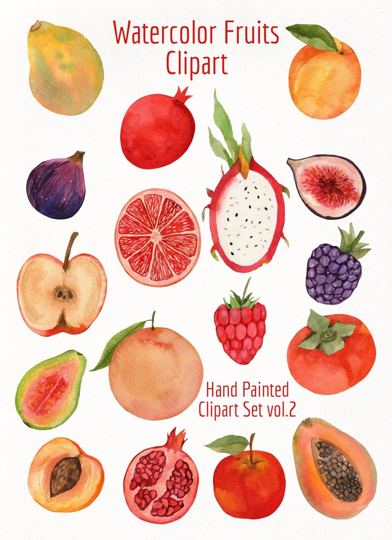 Watercolor Fruits- Fruit Clipart- Hand Painted Apple- Persimmon ...