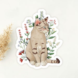 Sticker Cat Plant Vinyl Sticker Waterproof | Cat in Box Sticker | Kitty Sticker | CLEARANCE