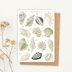 Sticker Sheet Seashell Sticker | Beach Sticker Set | Planner Sticker Sheet | Journal Stickers | Green
