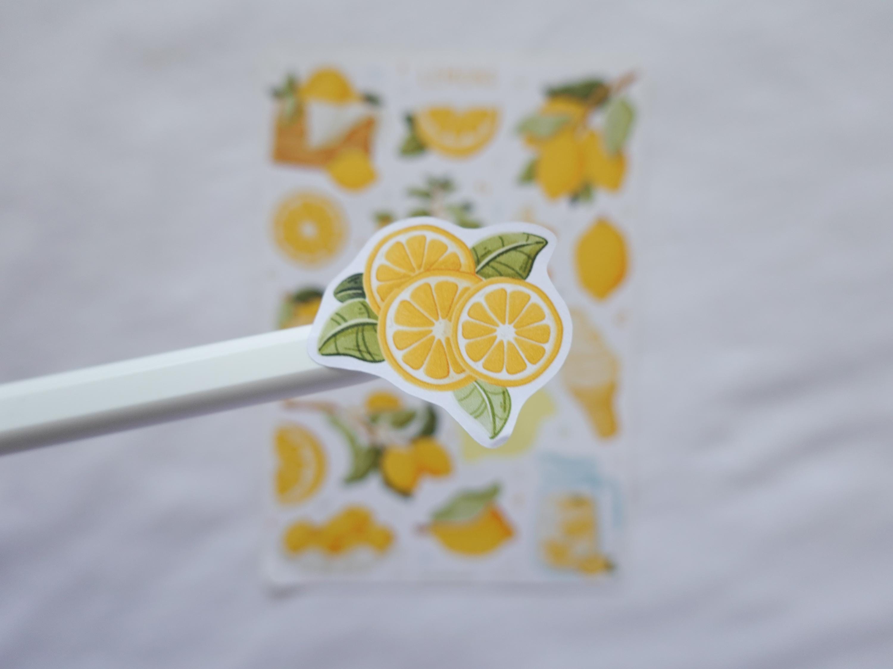 Sticker Sheet Lemons Sticker | Citrus Sticker Sheet | Planner Sticker ...