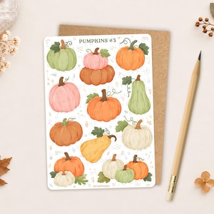 Könnte beinhalten: Ein Aufkleberbogen mit der Aufschrift PUMPKINS #3, der verschiedene illustrierte Kürbisse in Orange-, Grün-, Rosa- und Weißtönen zeigt. Der Bogen enthält einzelne Kürbisse sowie gestapelte Kürbisdesigns mit grünen Stielen und Blättern.