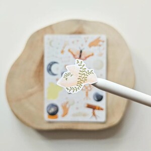 Puede incluir: Una pegatina troquelada que muestra un cristal rosa p&aacute;lido envuelto en enredaderas verdes, sostenida por un l&aacute;piz &oacute;ptico blanco. Al fondo, una hoja de pegatinas rectangular muestra varias ilustraciones, incluyendo una luna creciente, una polilla y un telescopio.