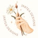 JarteaDesigns store logo