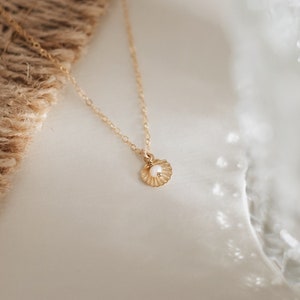 Dainty gold necklace with shell pendant and freshwater pearl • 14k gold filled