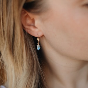 Moonstone Earrings Gold Drop Pendant • 14k Gold Filled • MOONSTONE