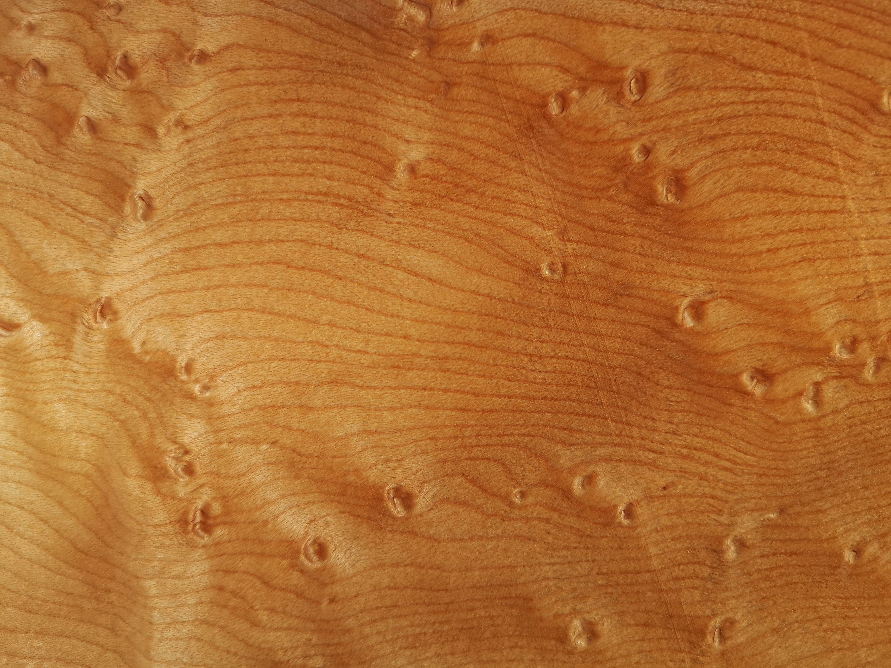 Bird's Eye Maple Veneer With Stripes Pattern Natural Wood Etsy