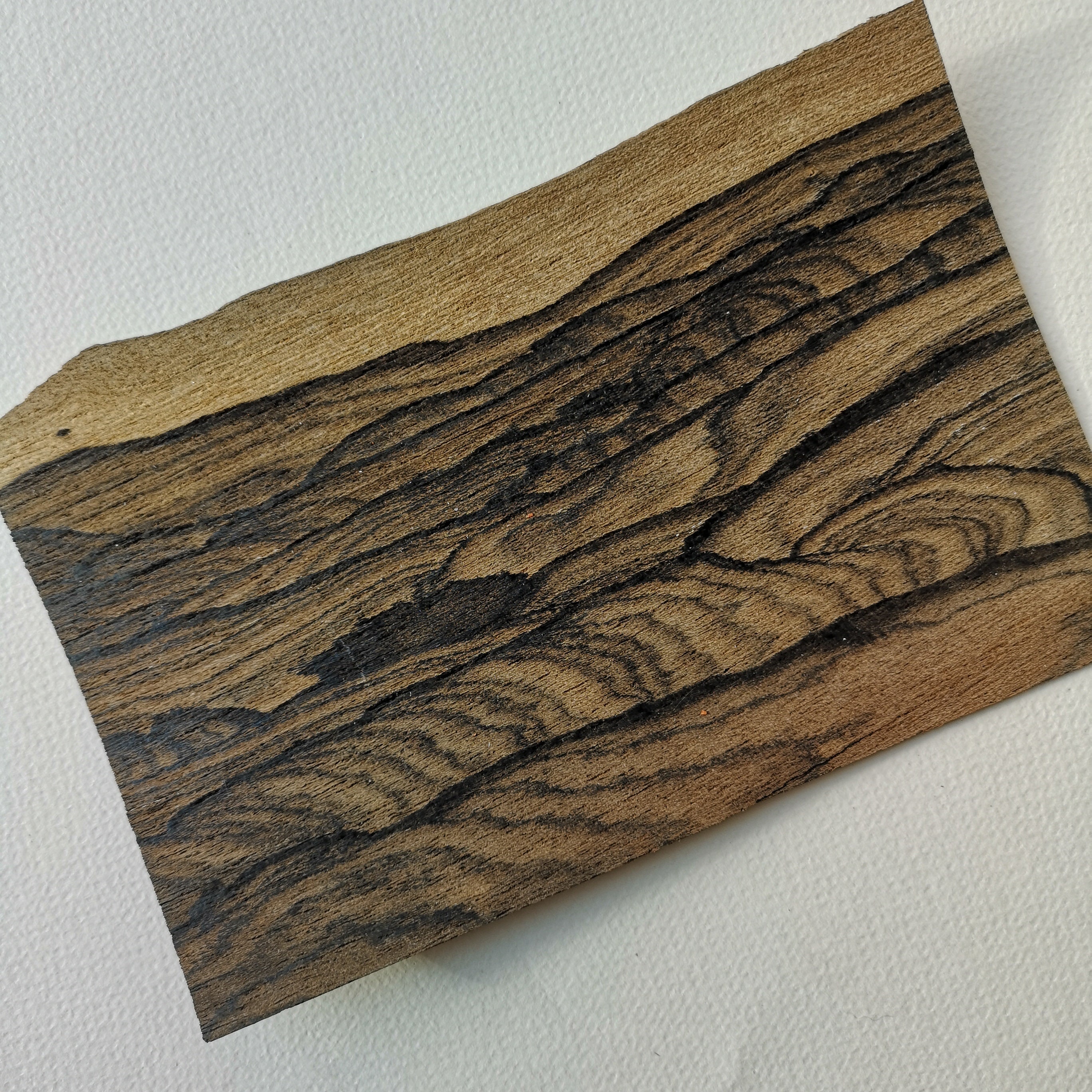 Ziricote natural wood veneer natural wood sheets for DIY Etsy