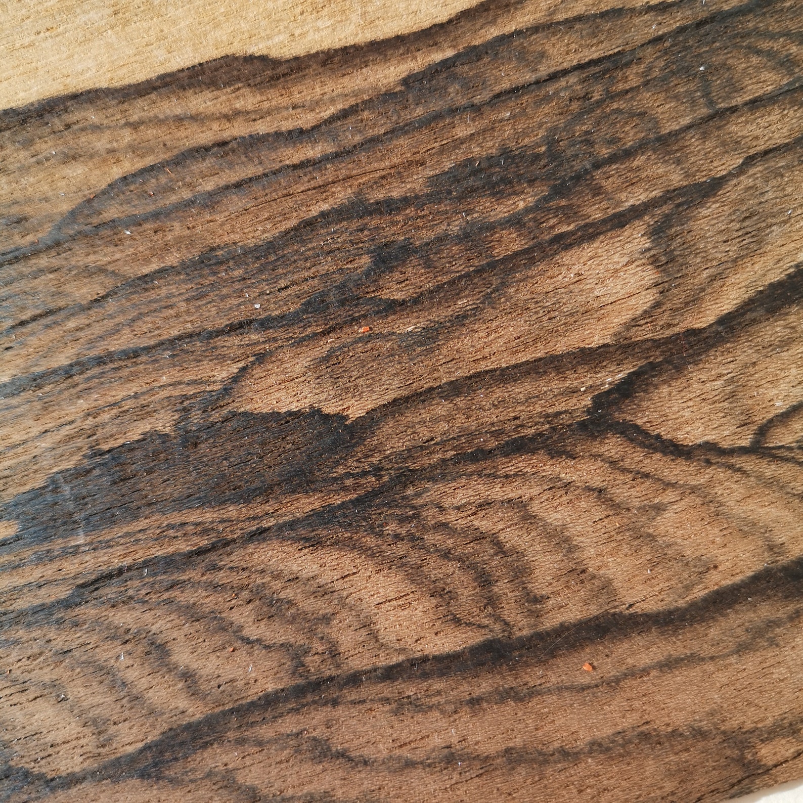 Ziricote natural wood veneer natural wood sheets for DIY Etsy